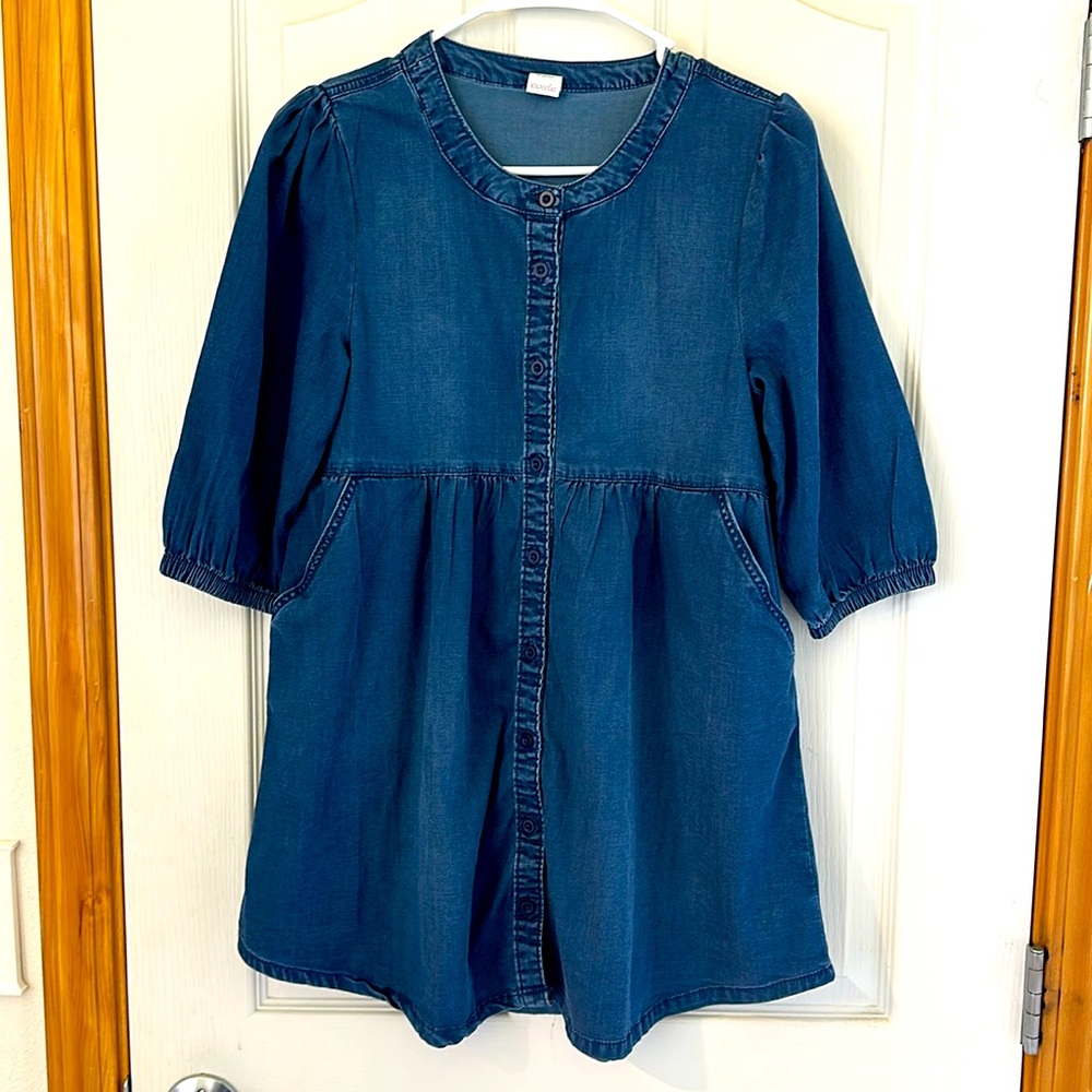 Evsie denim dress